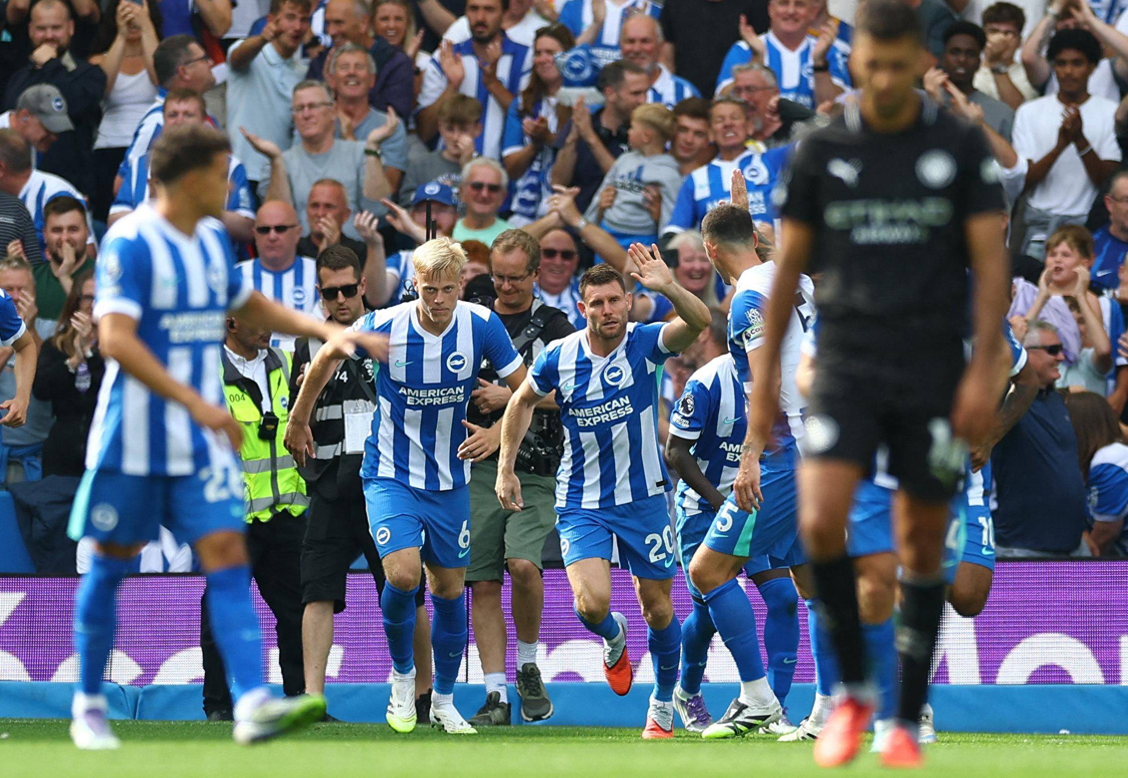 对皇家贝蒂 对皇家贝蒂