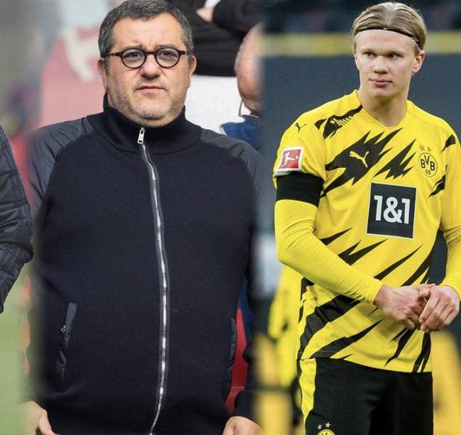 因为答案已 因为答案已